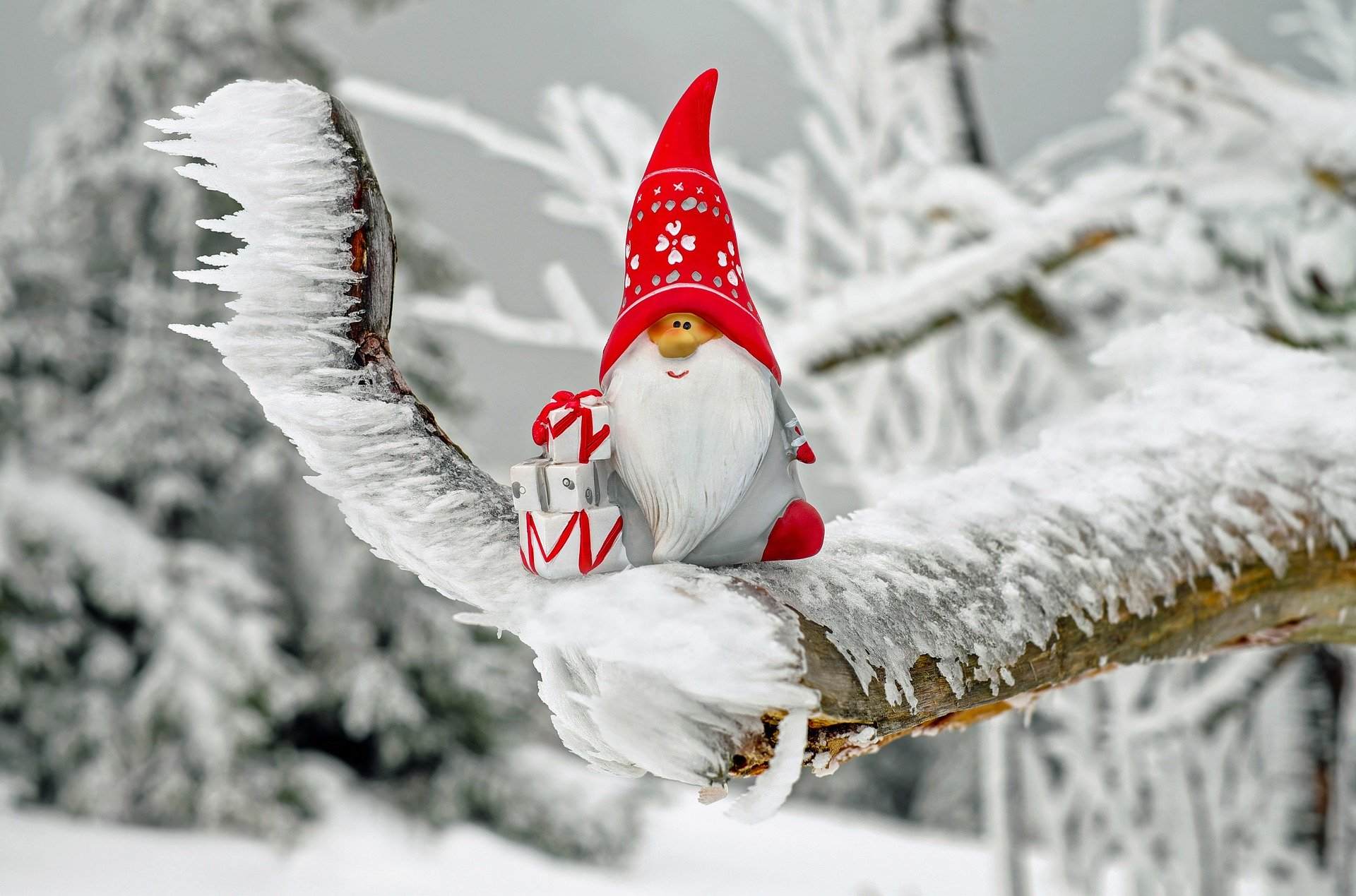 Ein Bild von einem Weihnachtswichtel